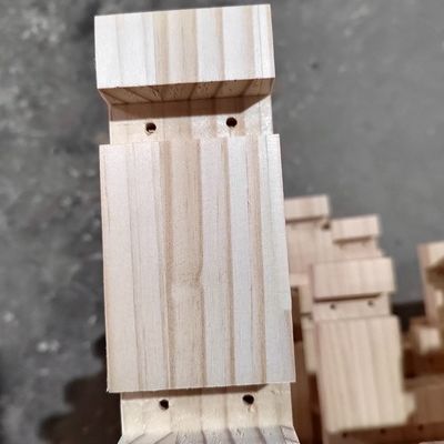 モダンデザイン 木材 倉庫 屋外 田舎型 防水 松木 庭 家